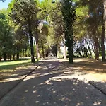 Torrenova Di 阿西西