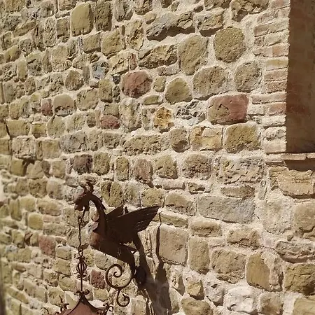 Torrenova Di アッシジ