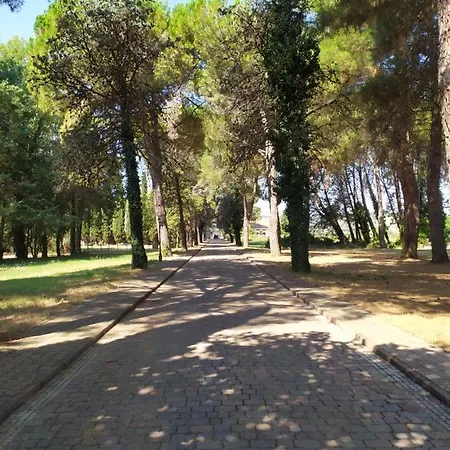 Torrenova Di アッシジ