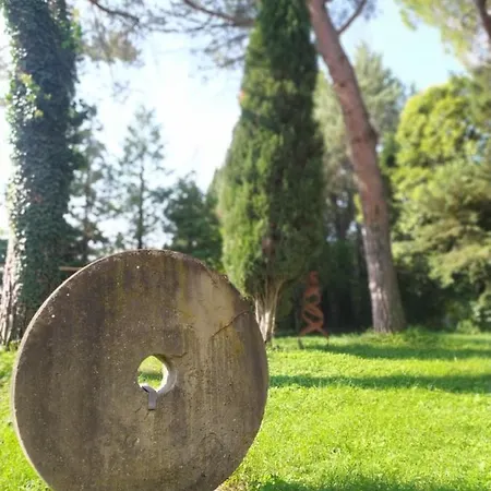 Torrenova Di أسيسي