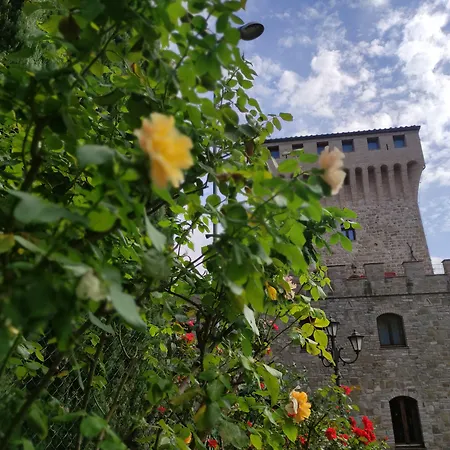 ホテル Torrenova Di 3*