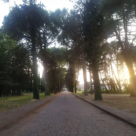 Torrenova Di Hotel 3*