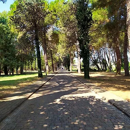 Torrenova Di 3*