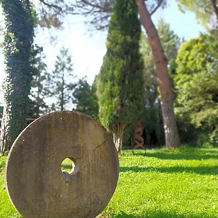 Torrenova Di